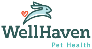 Wellhaven Logo FullColor